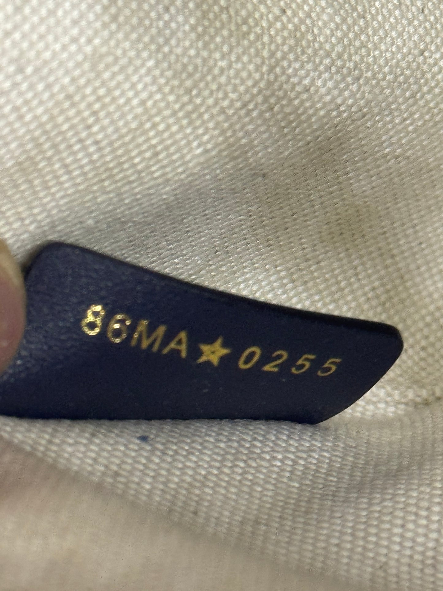 Dior montaigne 30 Monogram