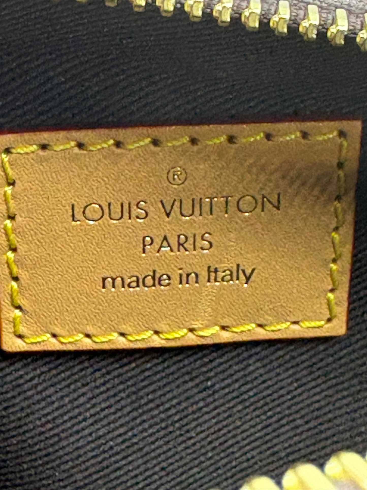 Louis Vuitton Monogram Pooch Bag