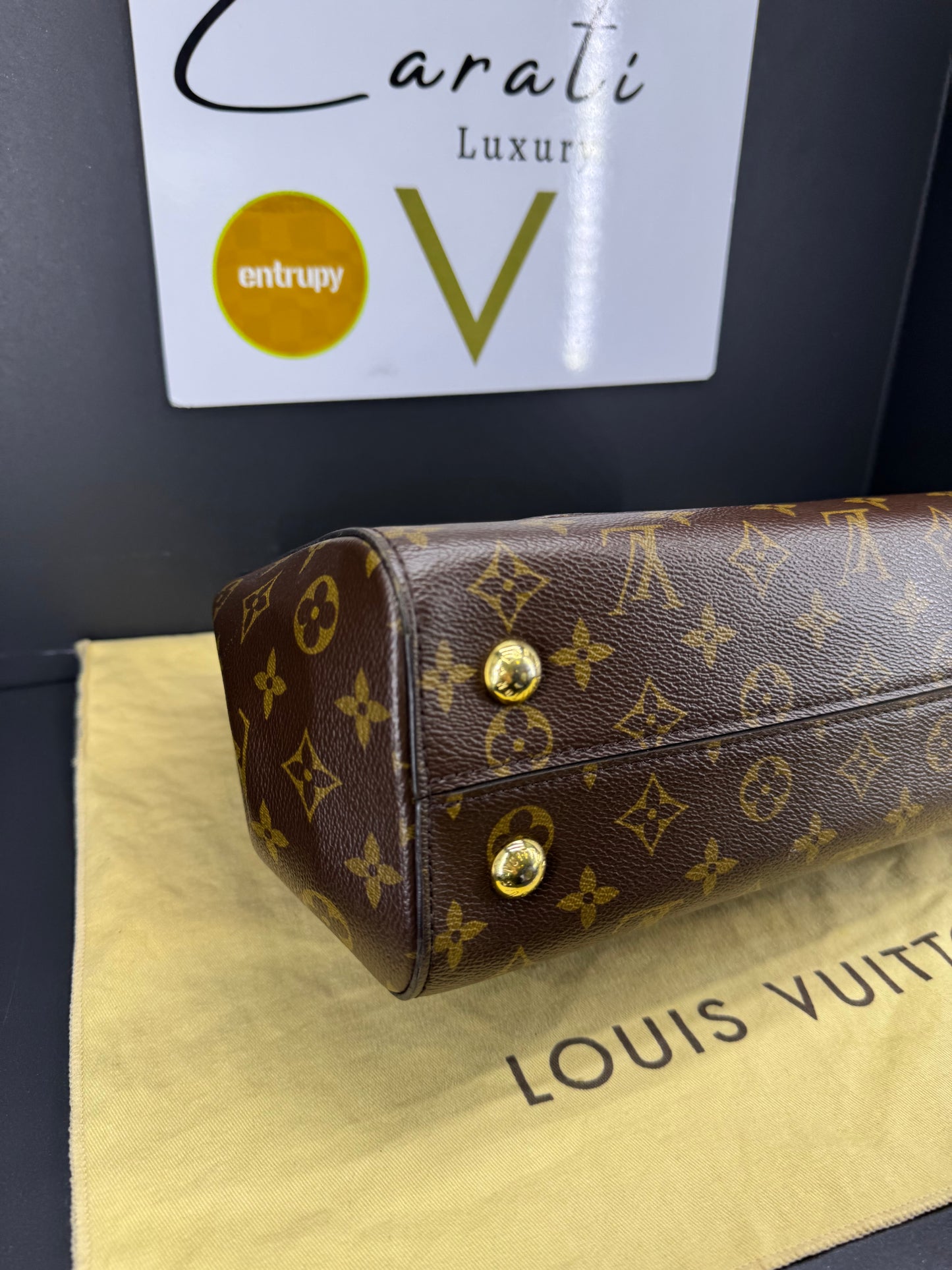 Louis Vuitton Borsa Cluny MM Monogram Tracolla