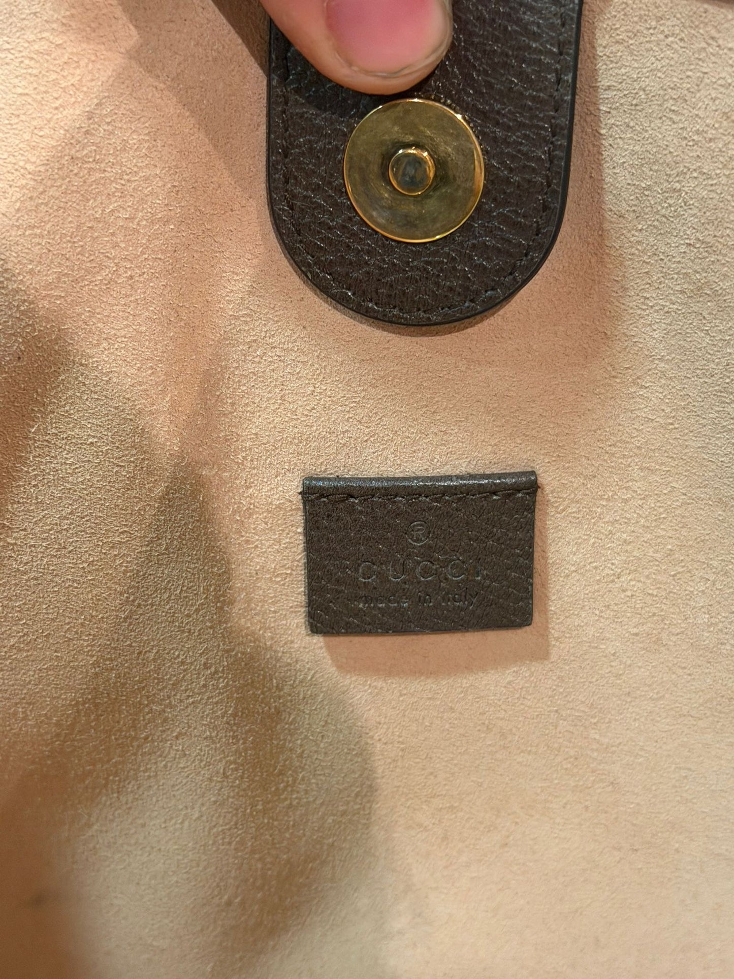 Gucci Shopping Ophidia