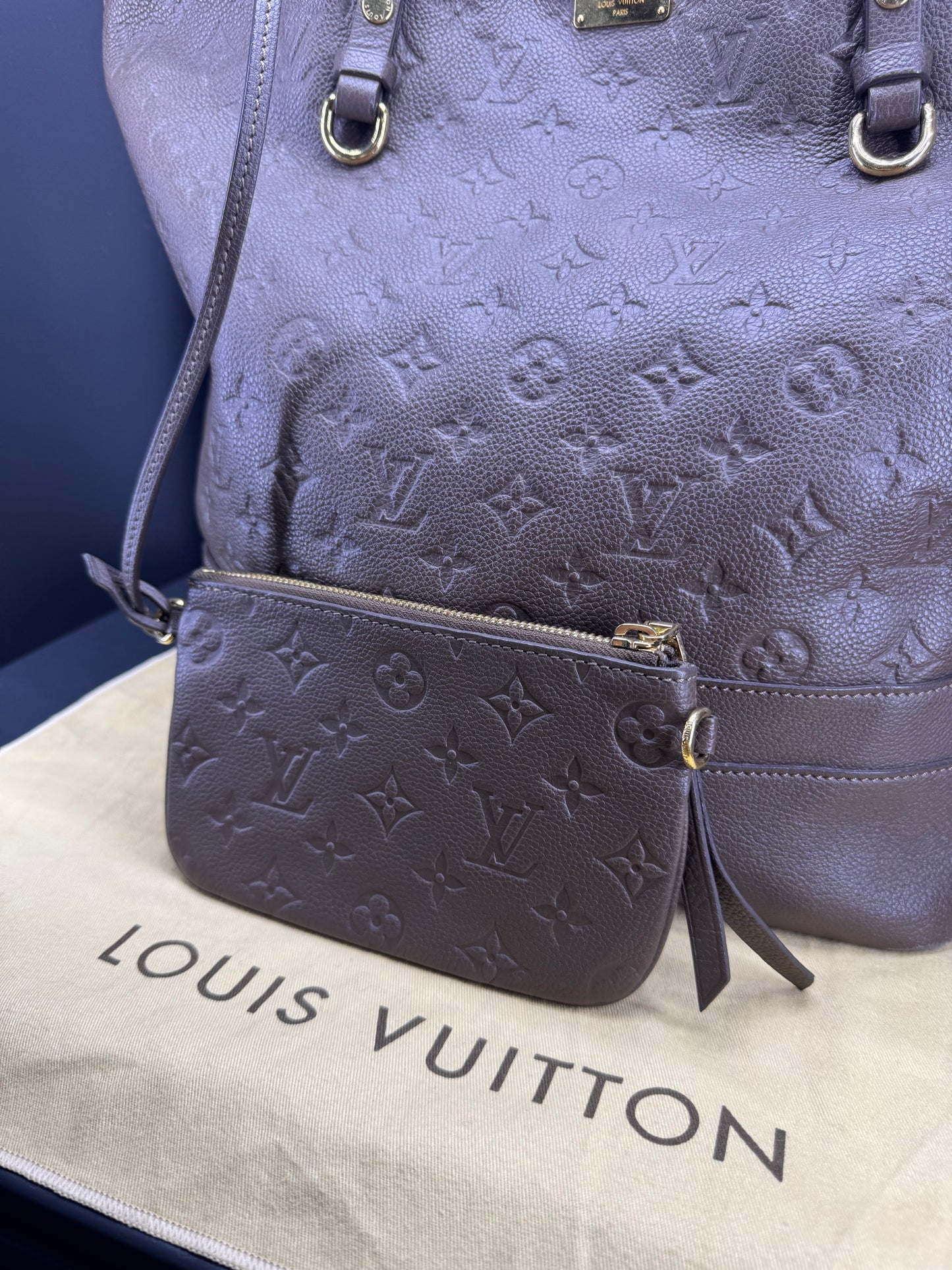 Louis Vuitton Citadine PM in pelle con Monogram