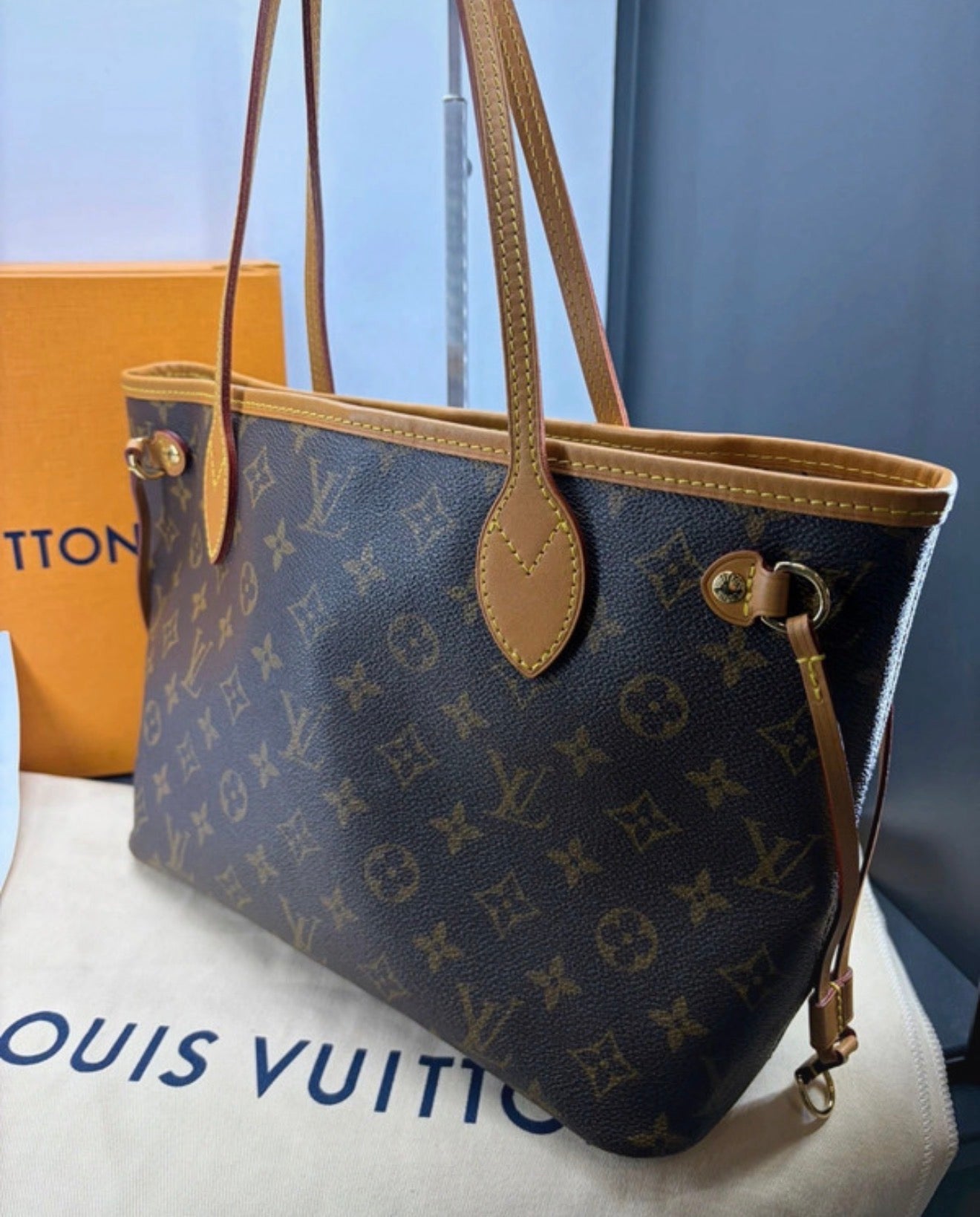 Louis Vuitton Neverfull PM