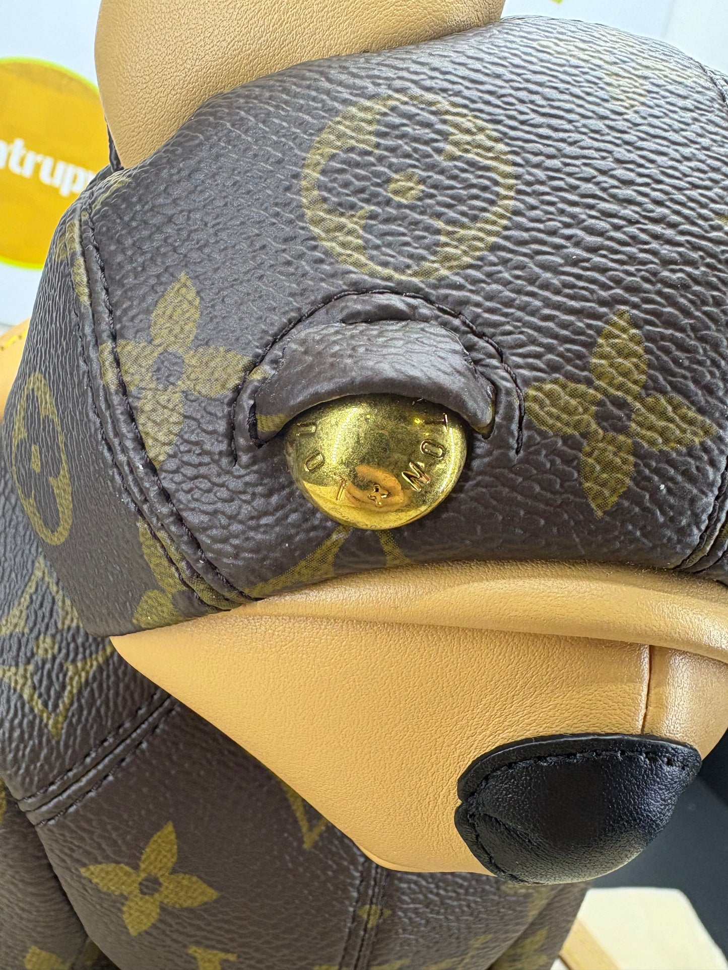 Louis Vuitton Monogram Pooch Bag