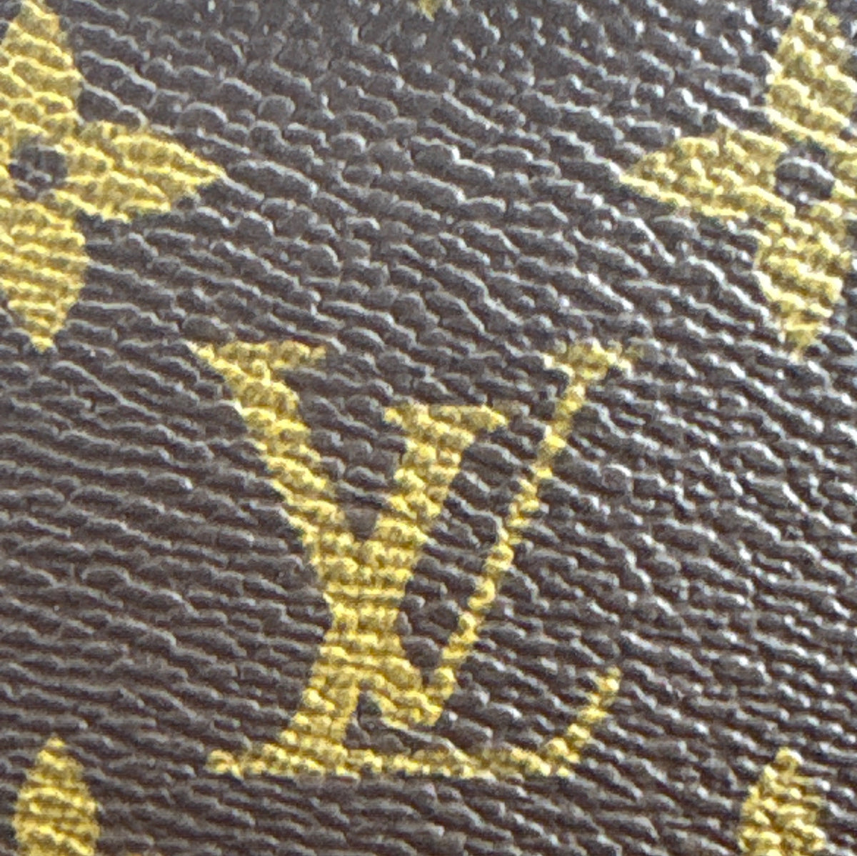 Louis Vuitton portafoglio Macassar