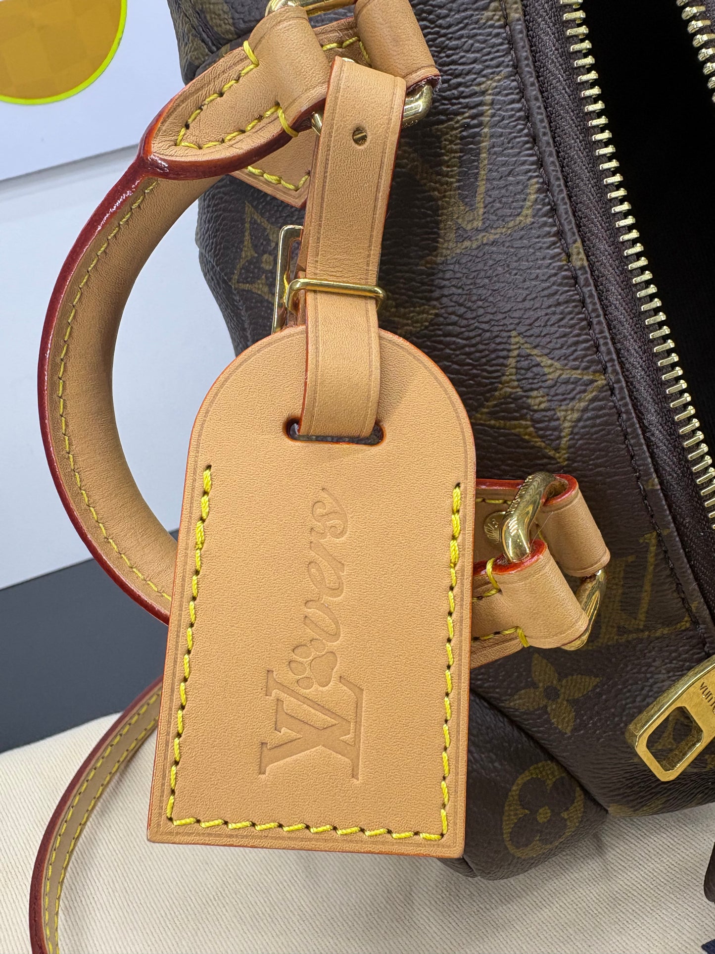 Louis Vuitton Monogram Pooch Bag