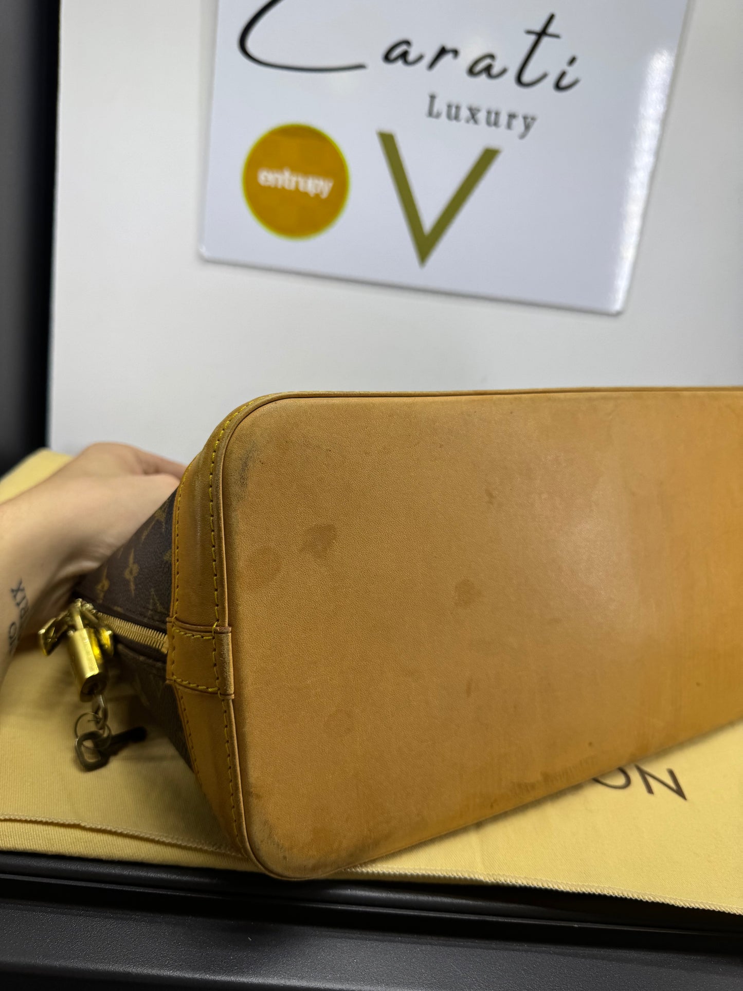 Louis Vuitton alma pm Monogram