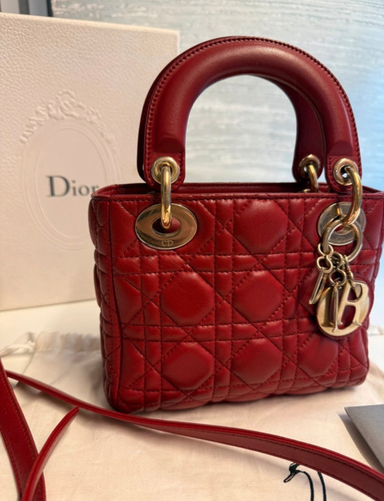 Lady Dior mini di Christian Dior