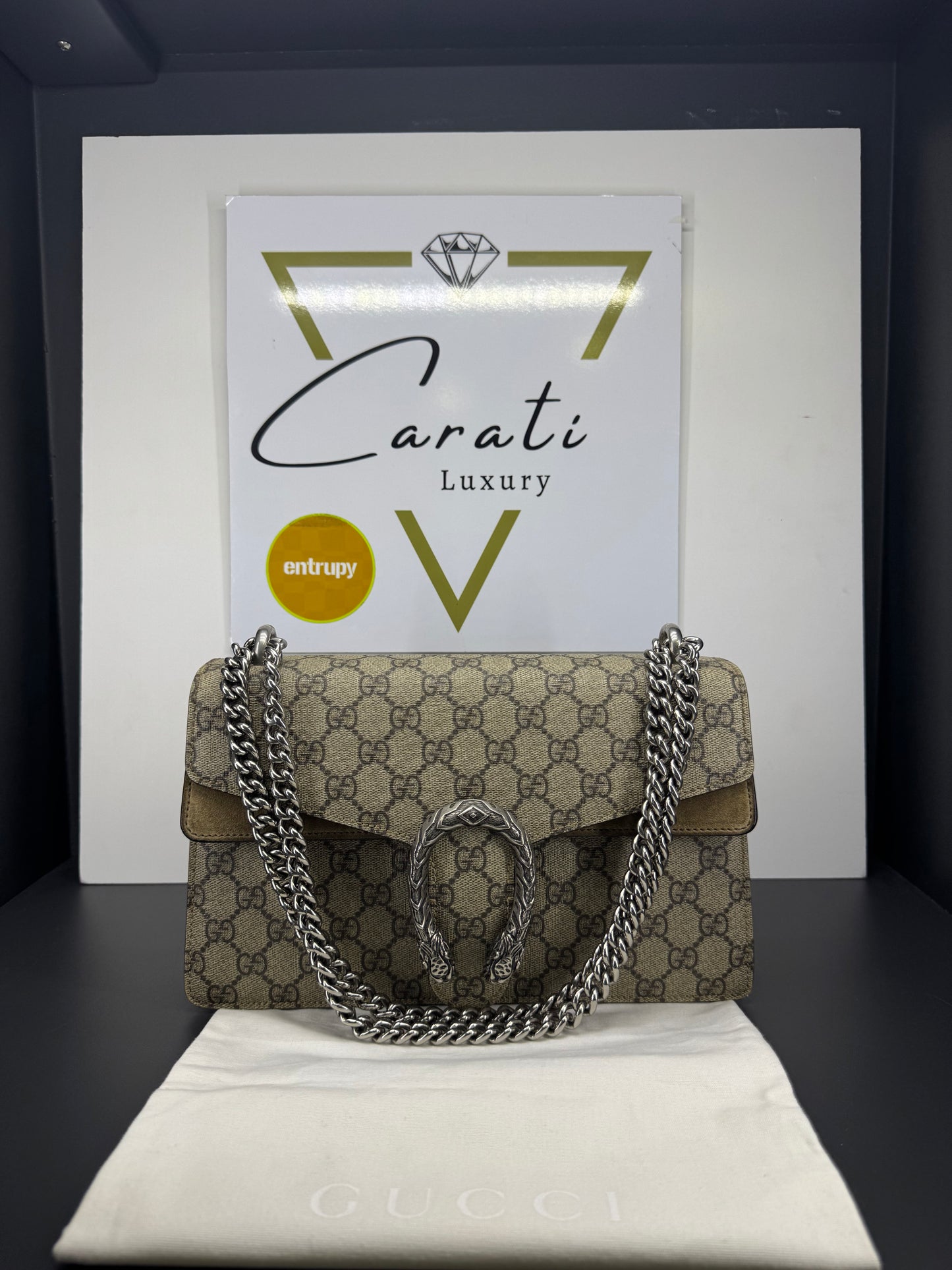 Gucci dyonisus Monogram misura media