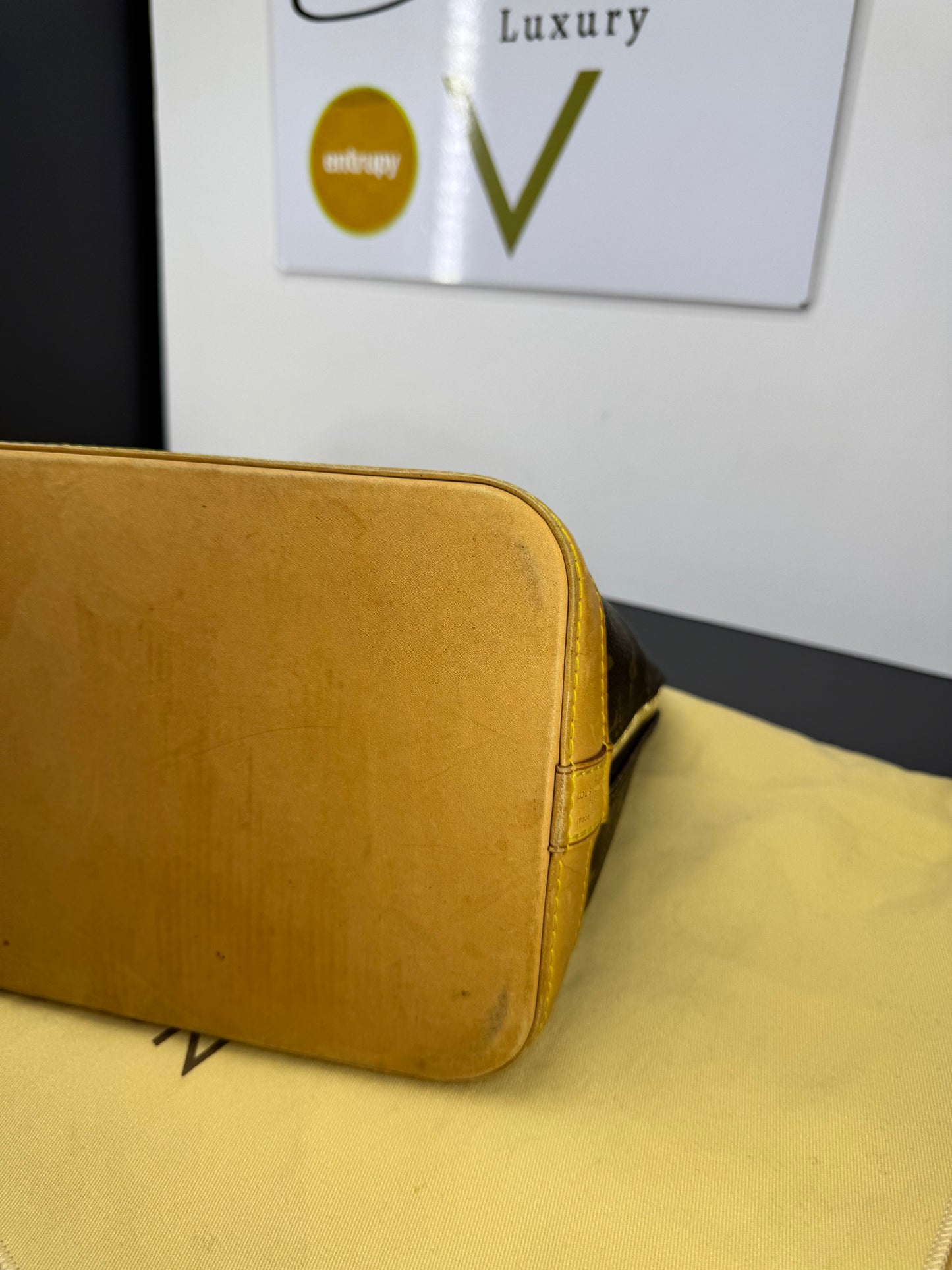 Louis Vuitton alma pm Monogram