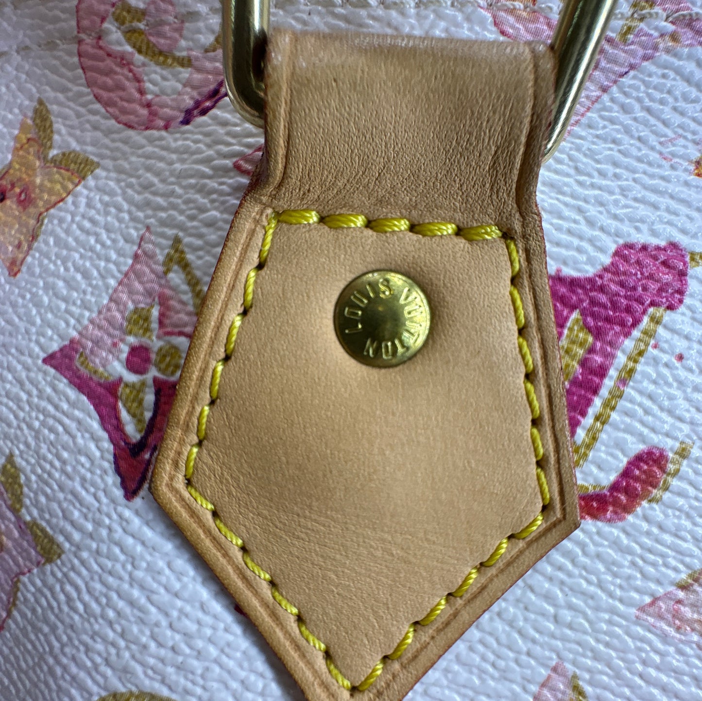 Louis Vuitton Monogram Aquarelle
