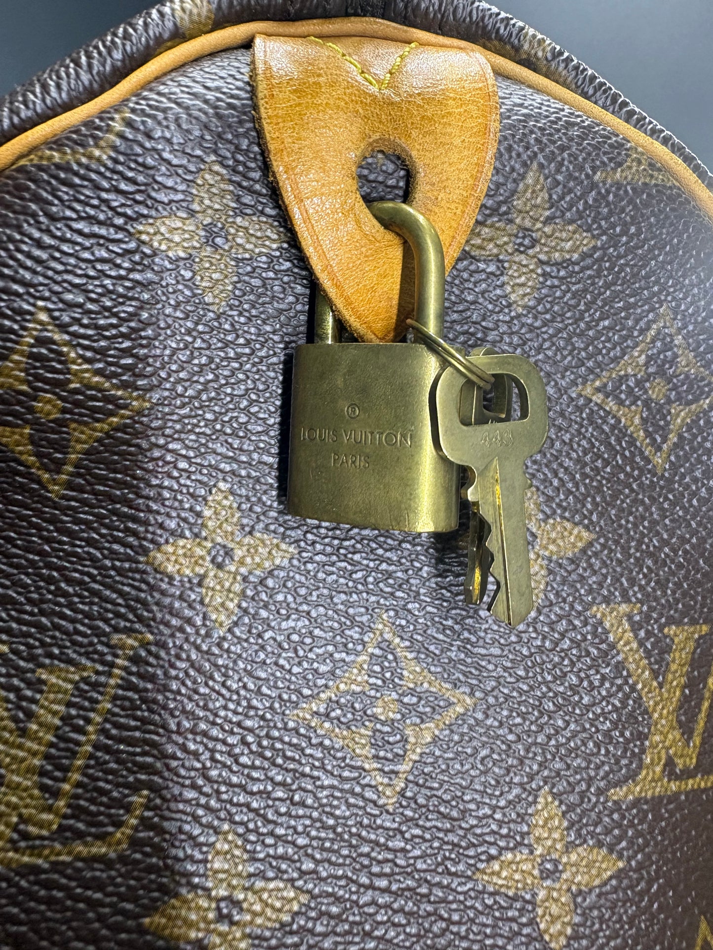 Louis Vuitton Speedy
