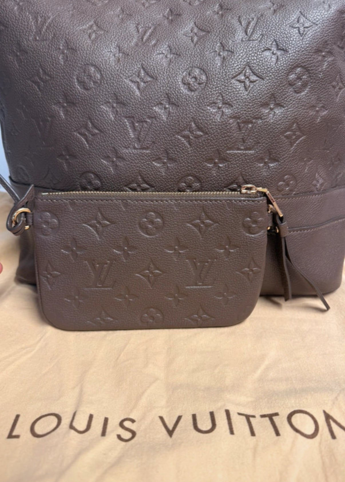Louis Vuitton Citadine PM in pelle con Monogram