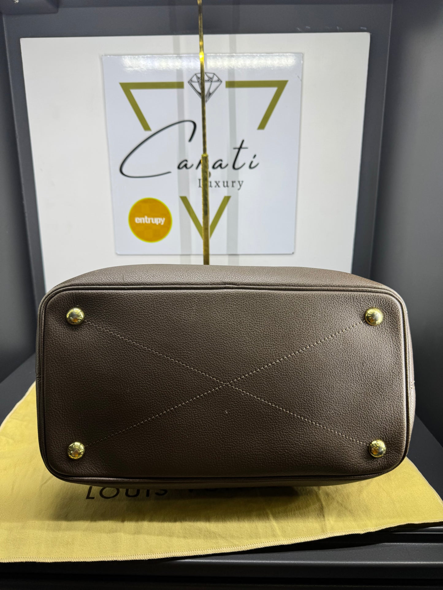 Louis Vuitton Citadine PM in pelle con Monogram