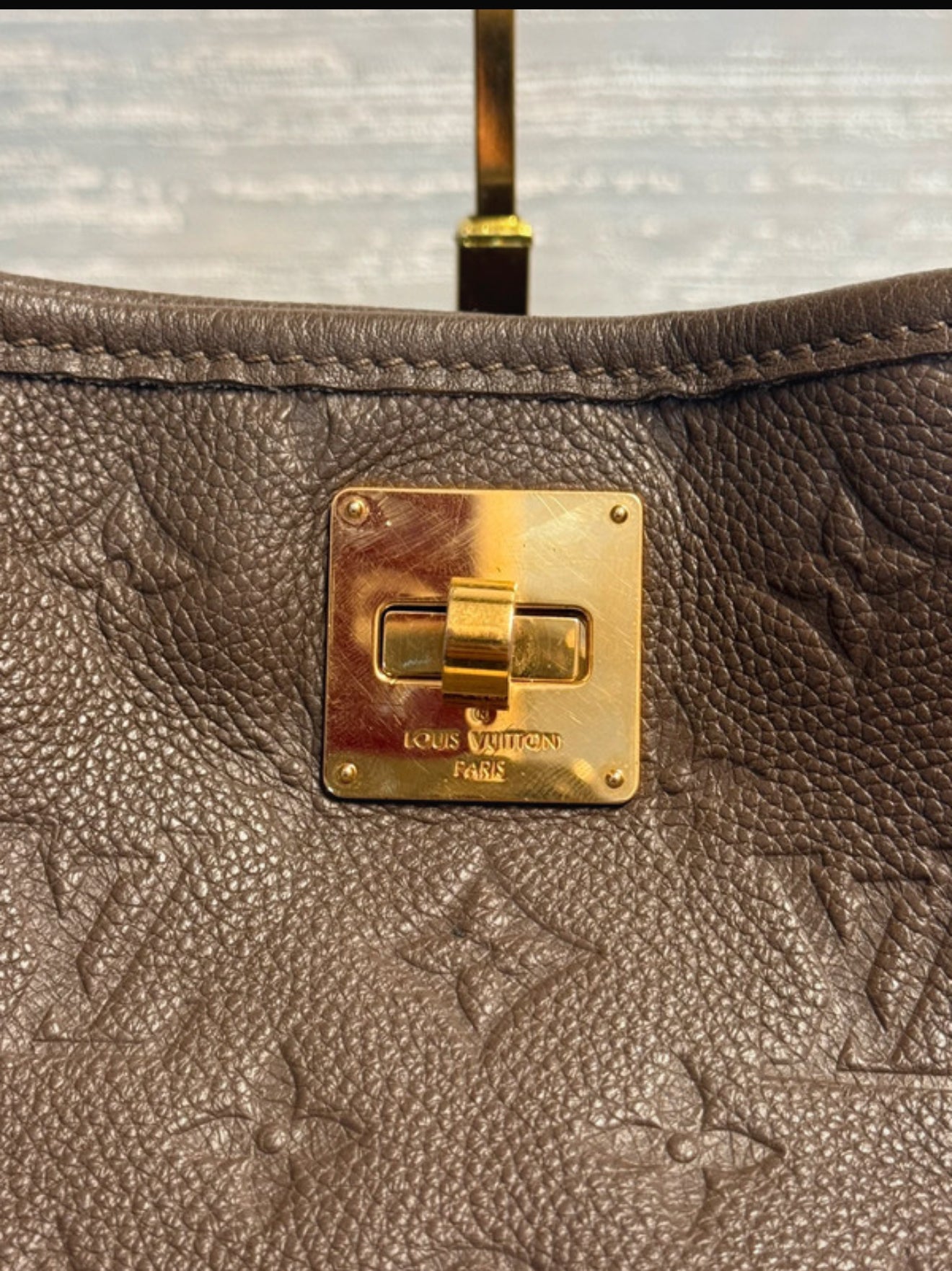 Louis Vuitton Citadine PM in pelle con Monogram