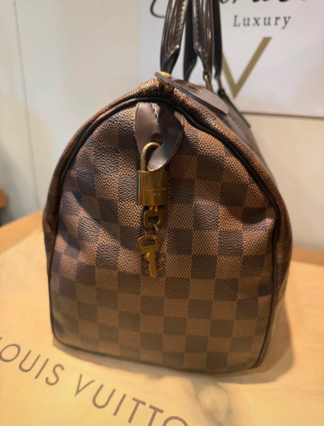 Louis Vuitton Speedy 30 Damier Ebene