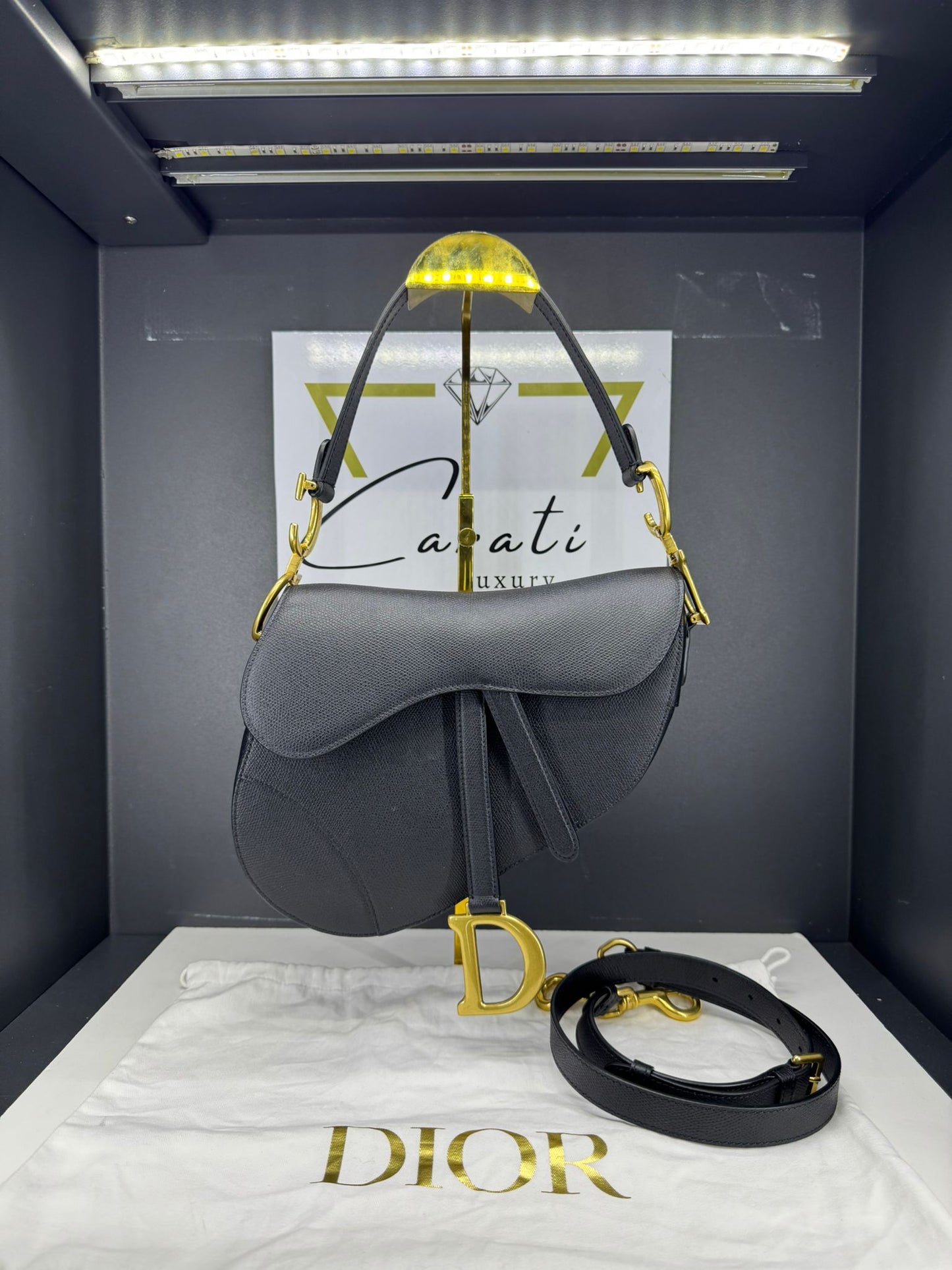 Dior Saddle in pelle monogram