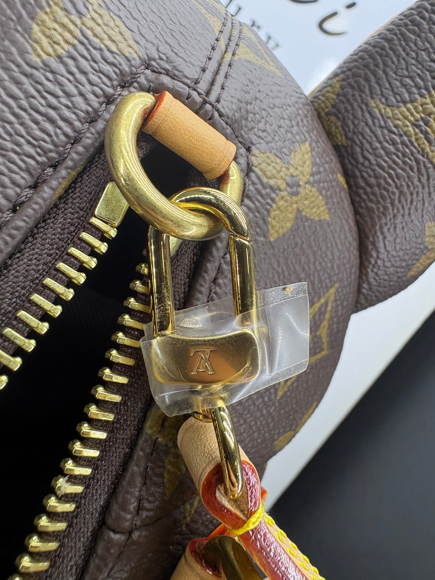 Louis Vuitton Monogram Pooch Bag