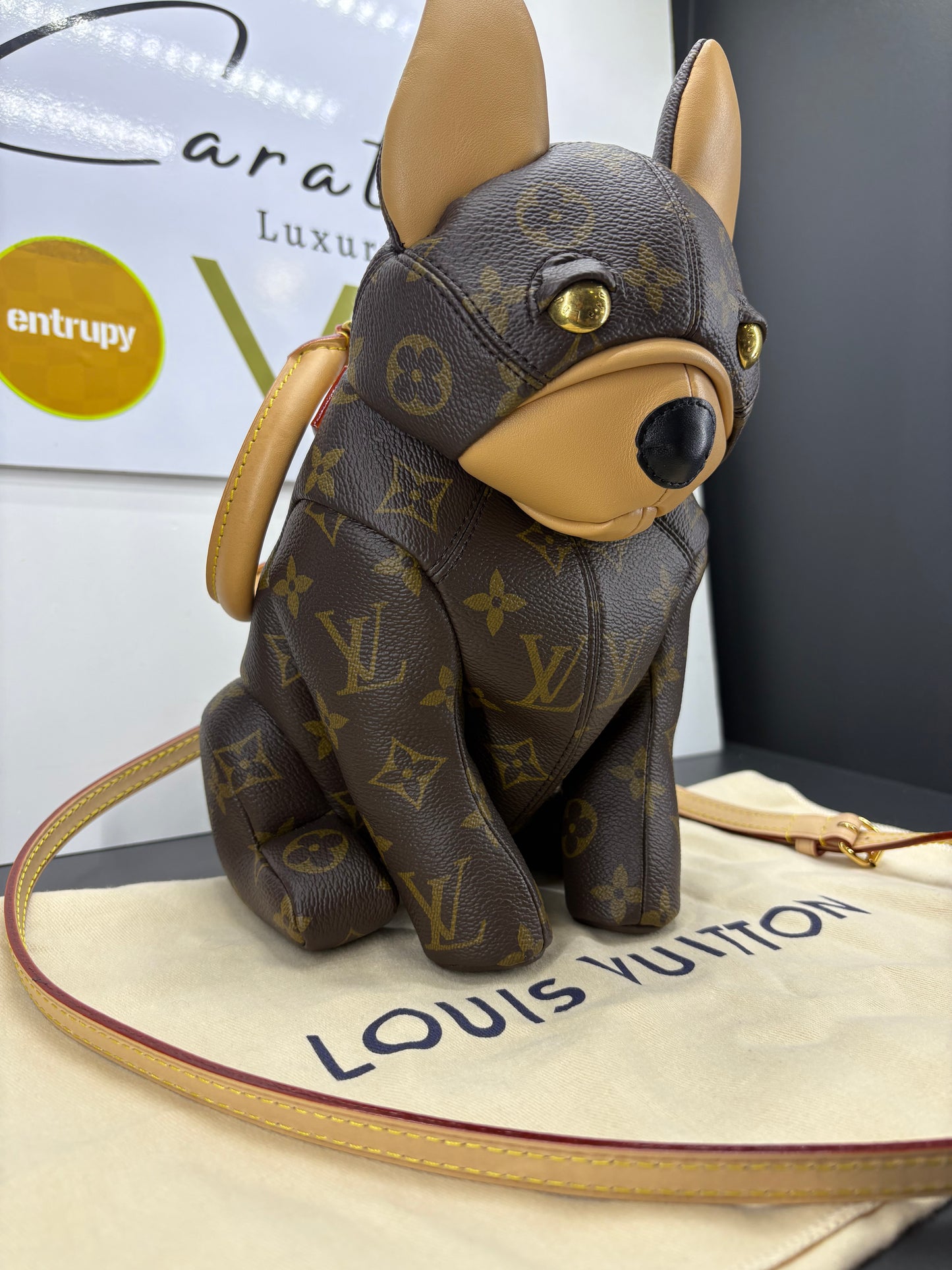 Louis Vuitton Monogram Pooch Bag