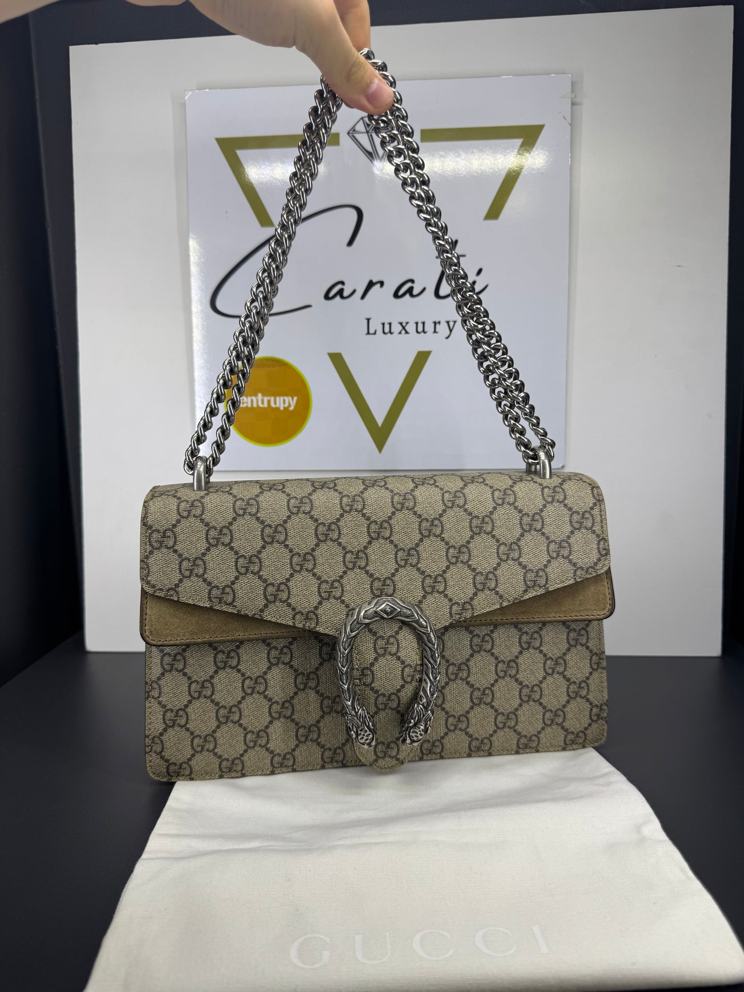 Gucci dyonisus Monogram misura media
