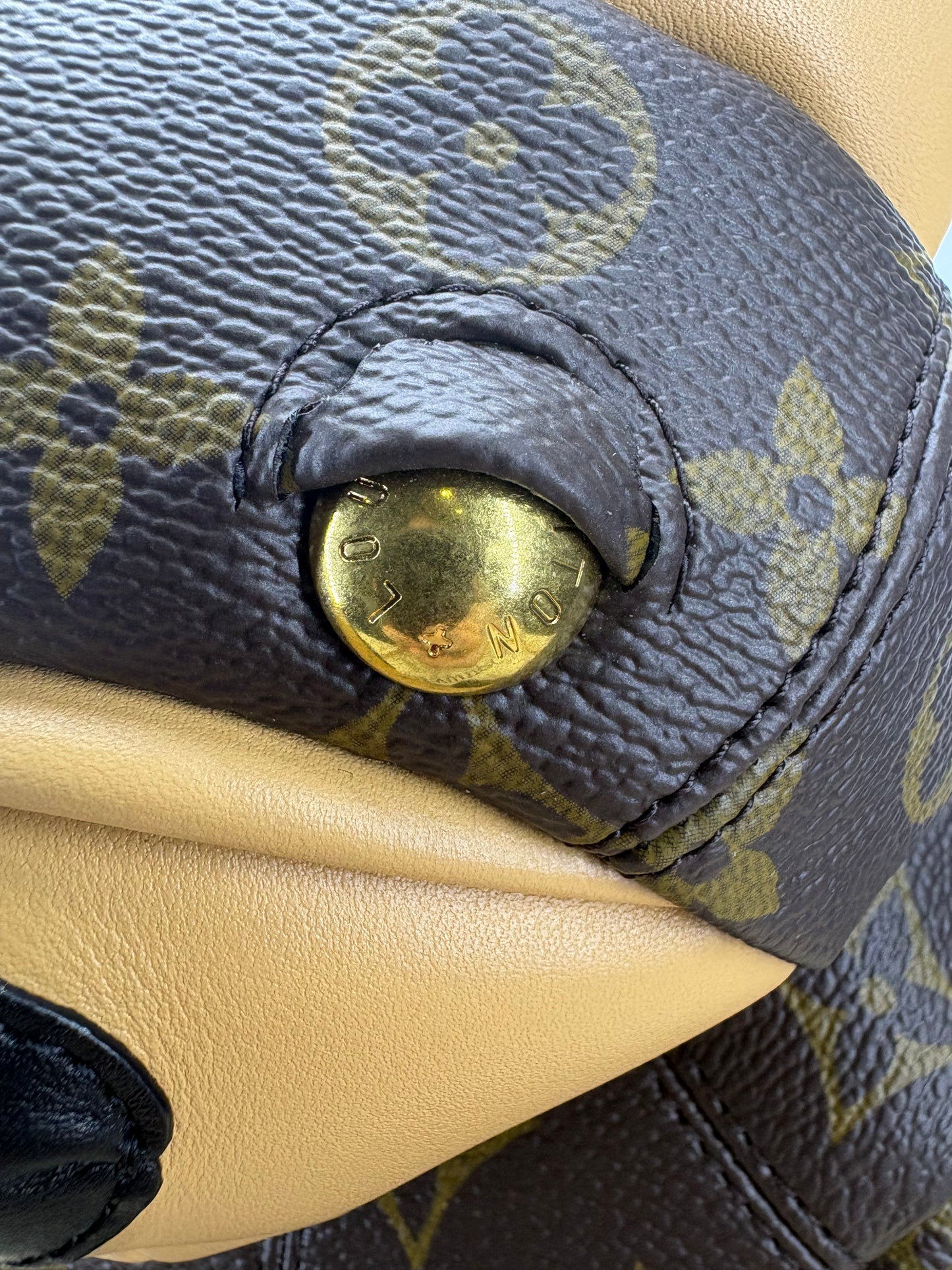 Louis Vuitton Monogram Pooch Bag