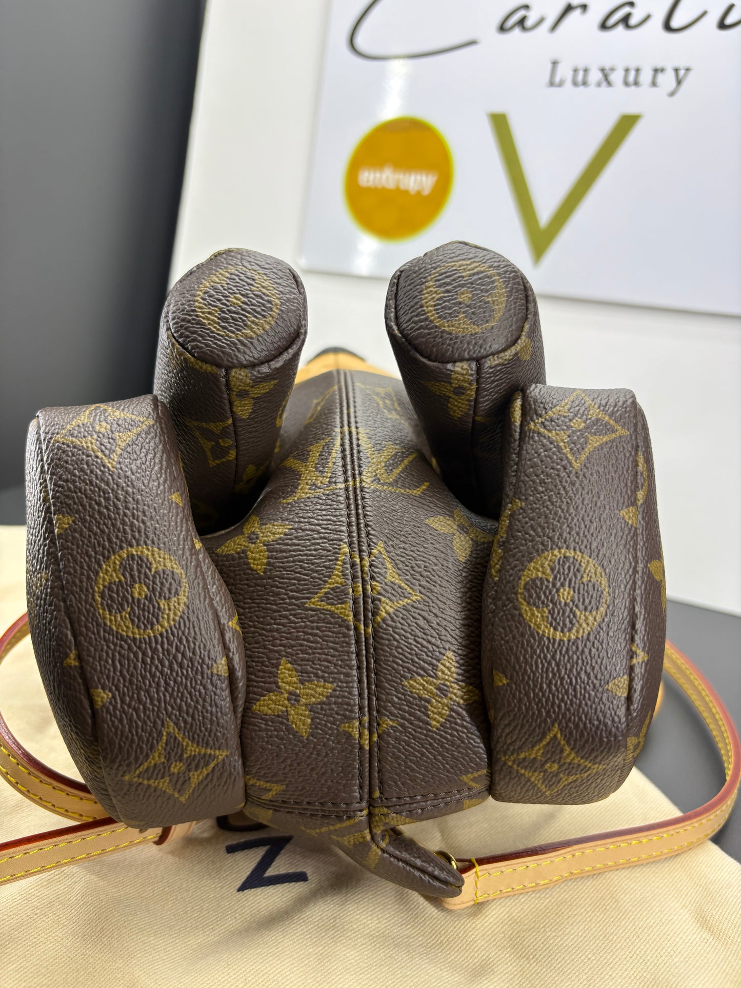 Louis Vuitton Monogram Pooch Bag