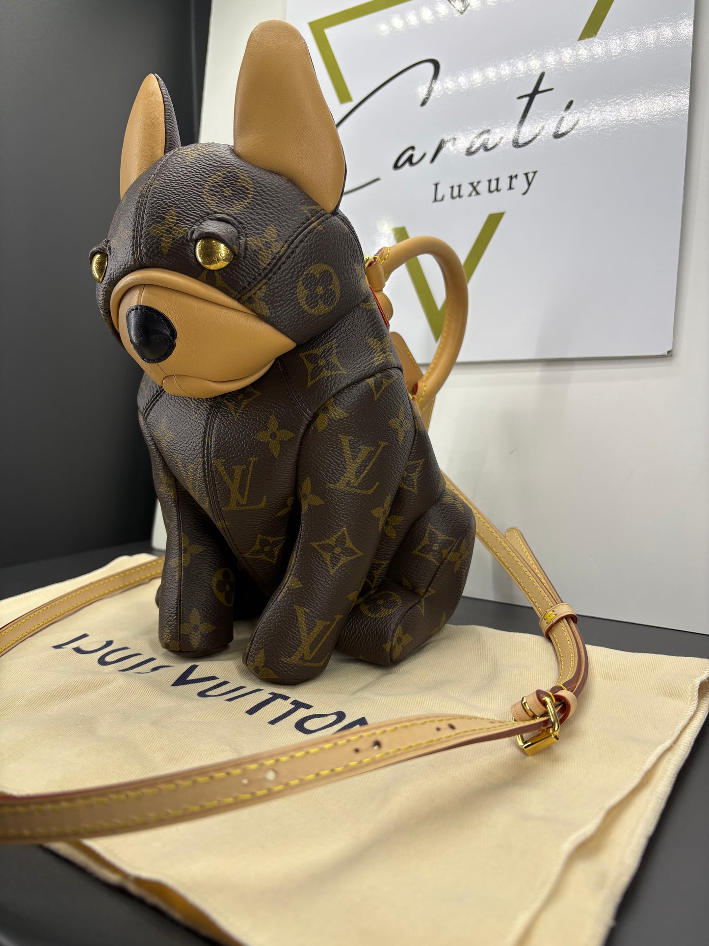 Louis Vuitton Monogram Pooch Bag