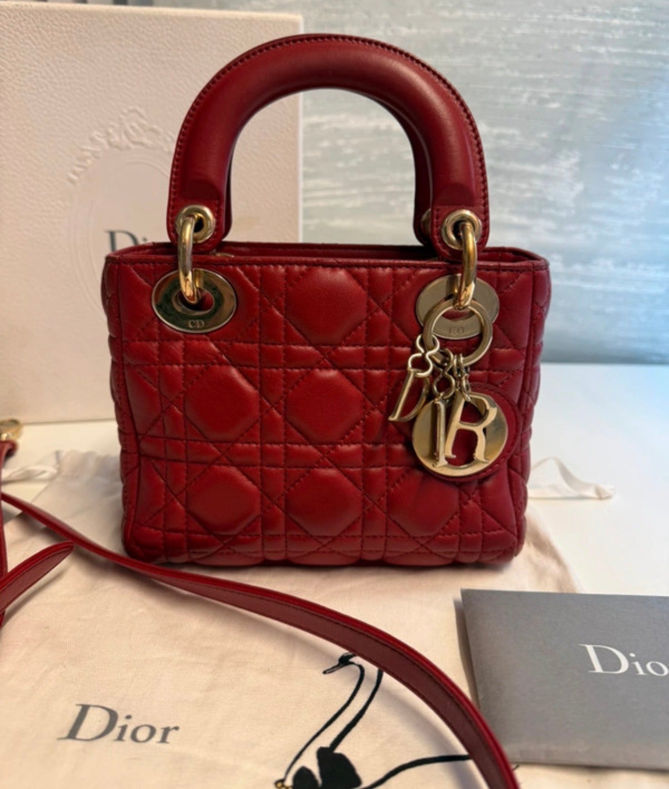 Lady Dior mini di Christian Dior