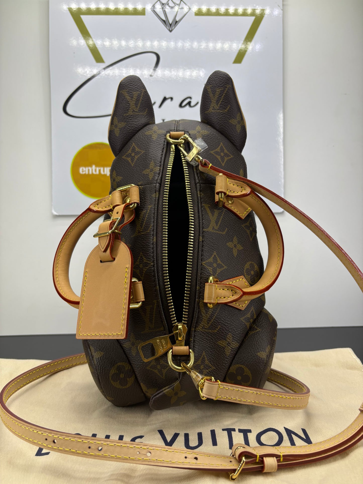 Louis Vuitton Monogram Pooch Bag