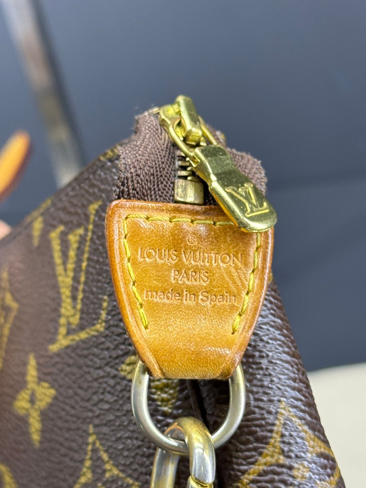 Louis Vuitton Pochette Accessoires
