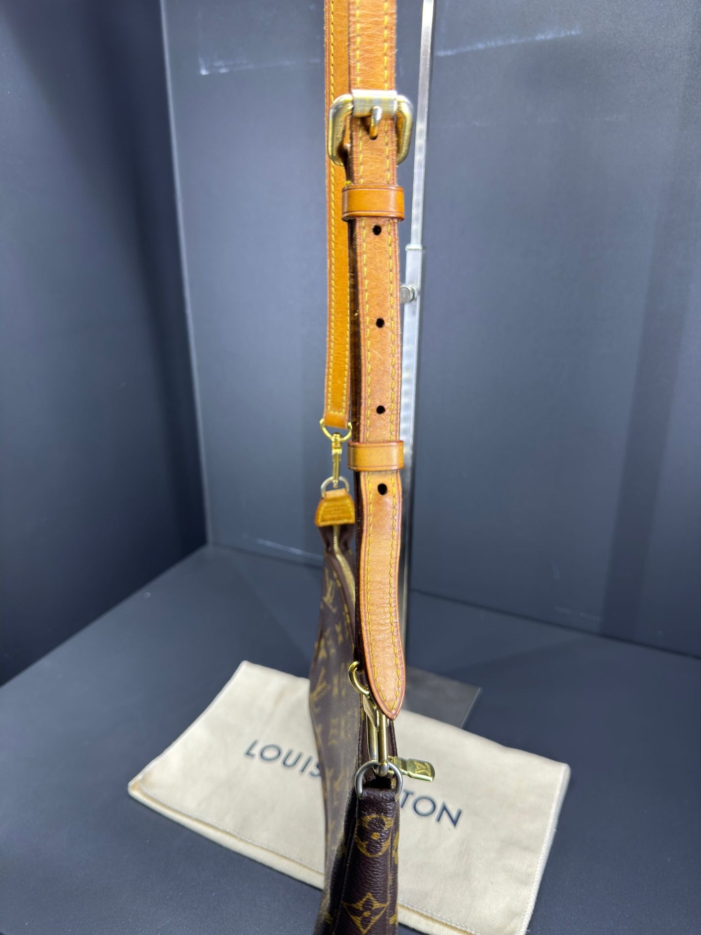 Louis Vuitton Pochette Accessoires