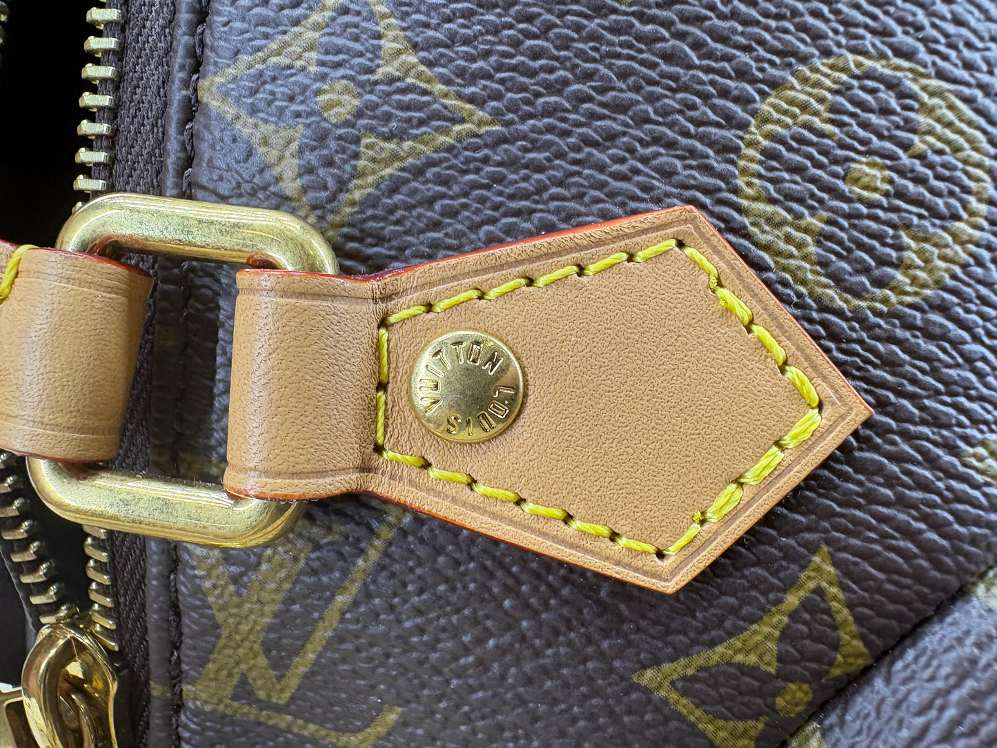 Louis Vuitton Monogram Pooch Bag