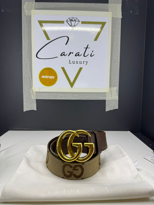 Cintura gucci