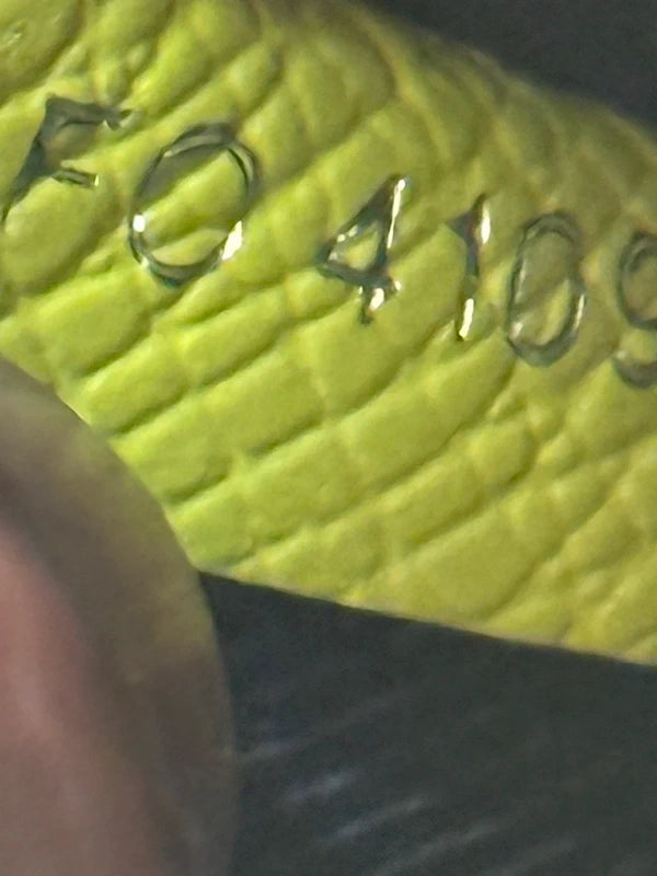 Louis Vuitton Marsupio Lime